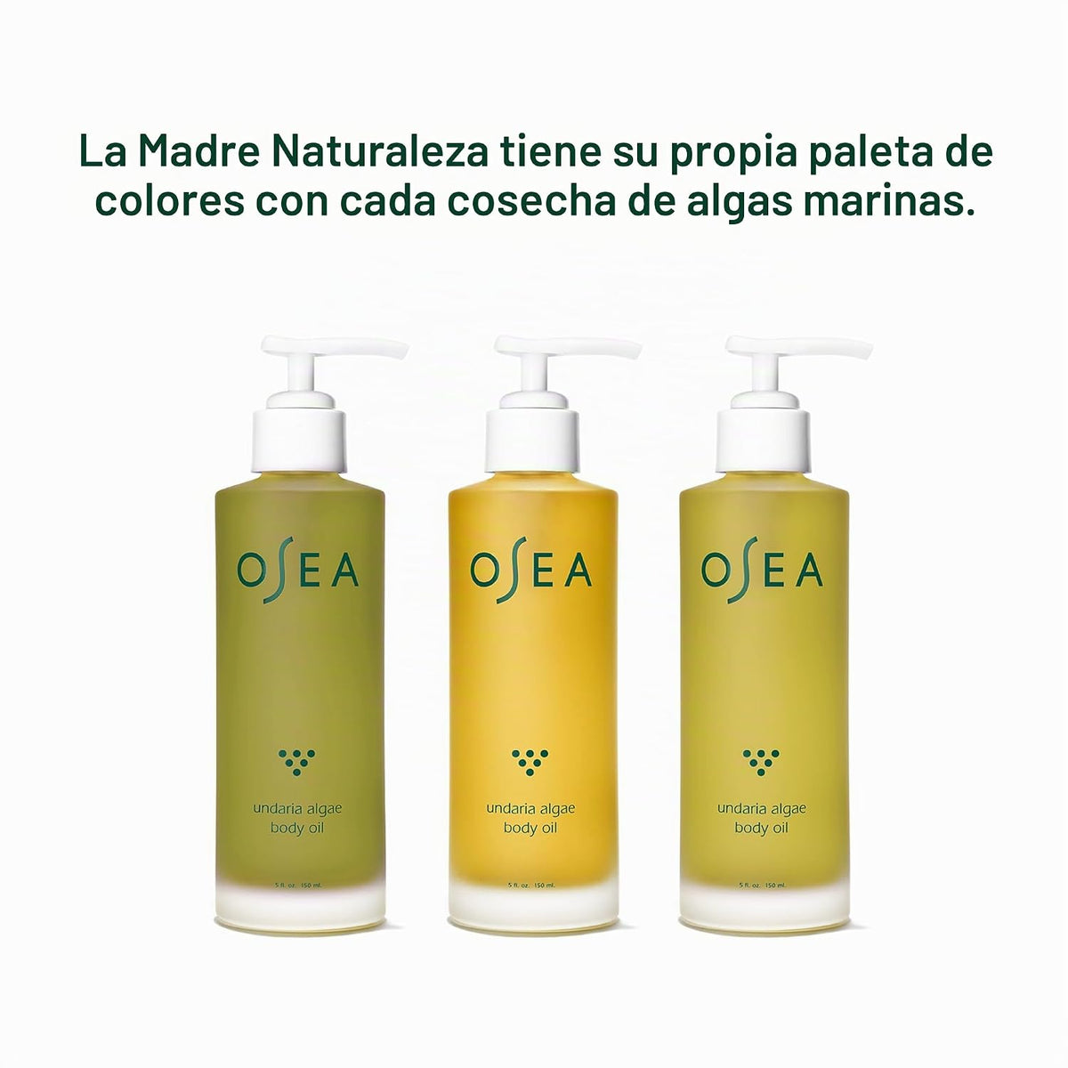 Undaria - Aceite corporal de algas 5 onzas | Mejora la elasticidad...