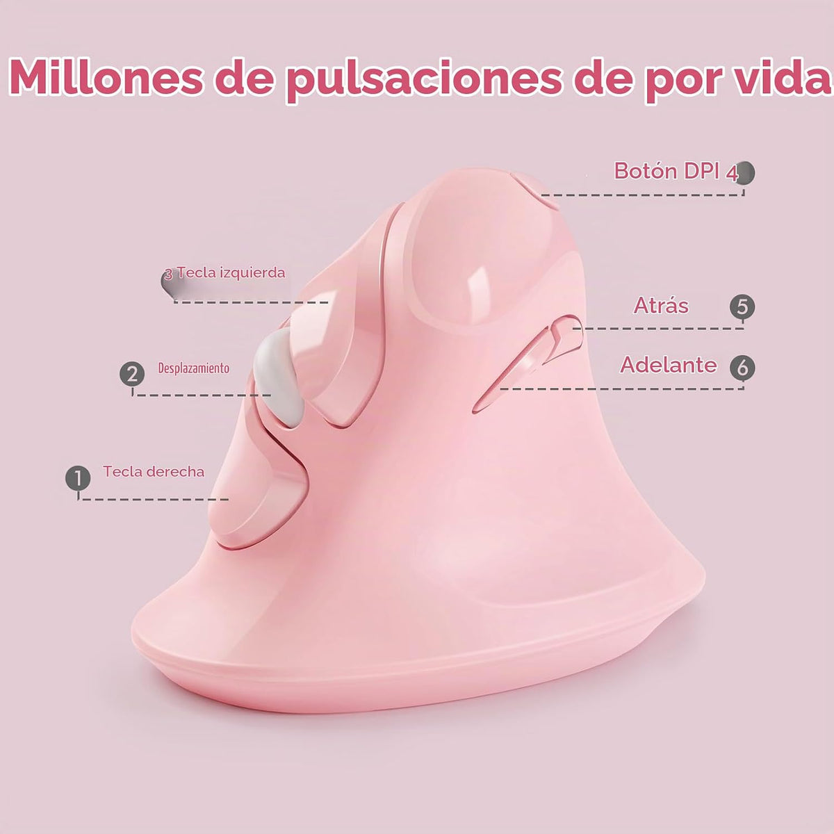 MicroPack Ratón ergonómico, ratón vertical inalámbrico con USB A y...