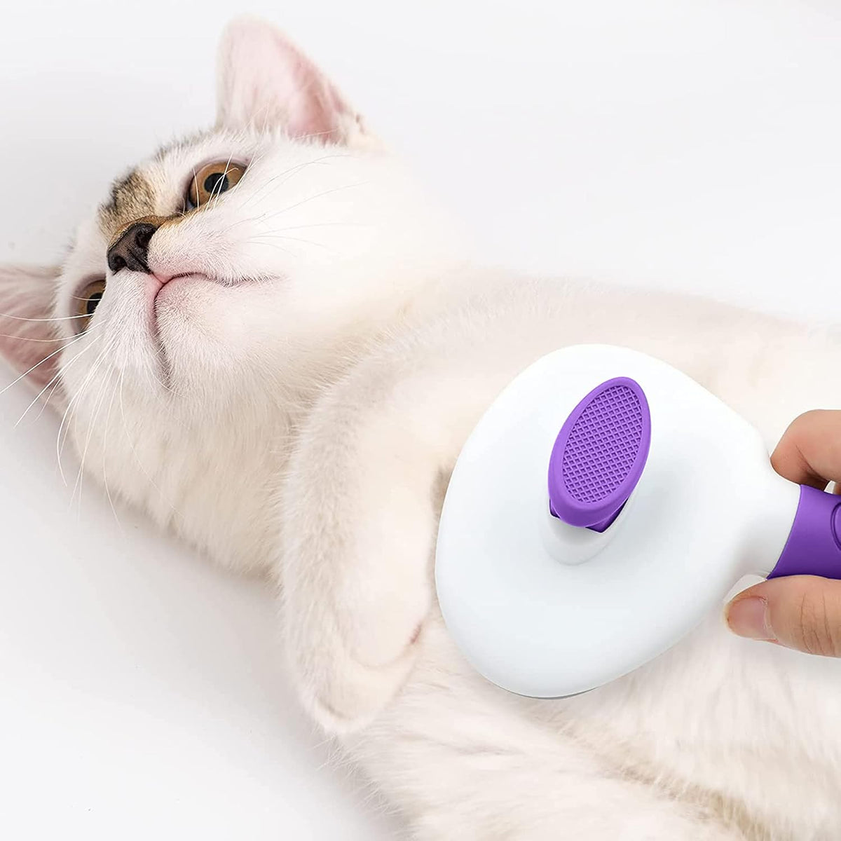 Cepillos para gatos de interior, cepillo de perro para quitar con p...