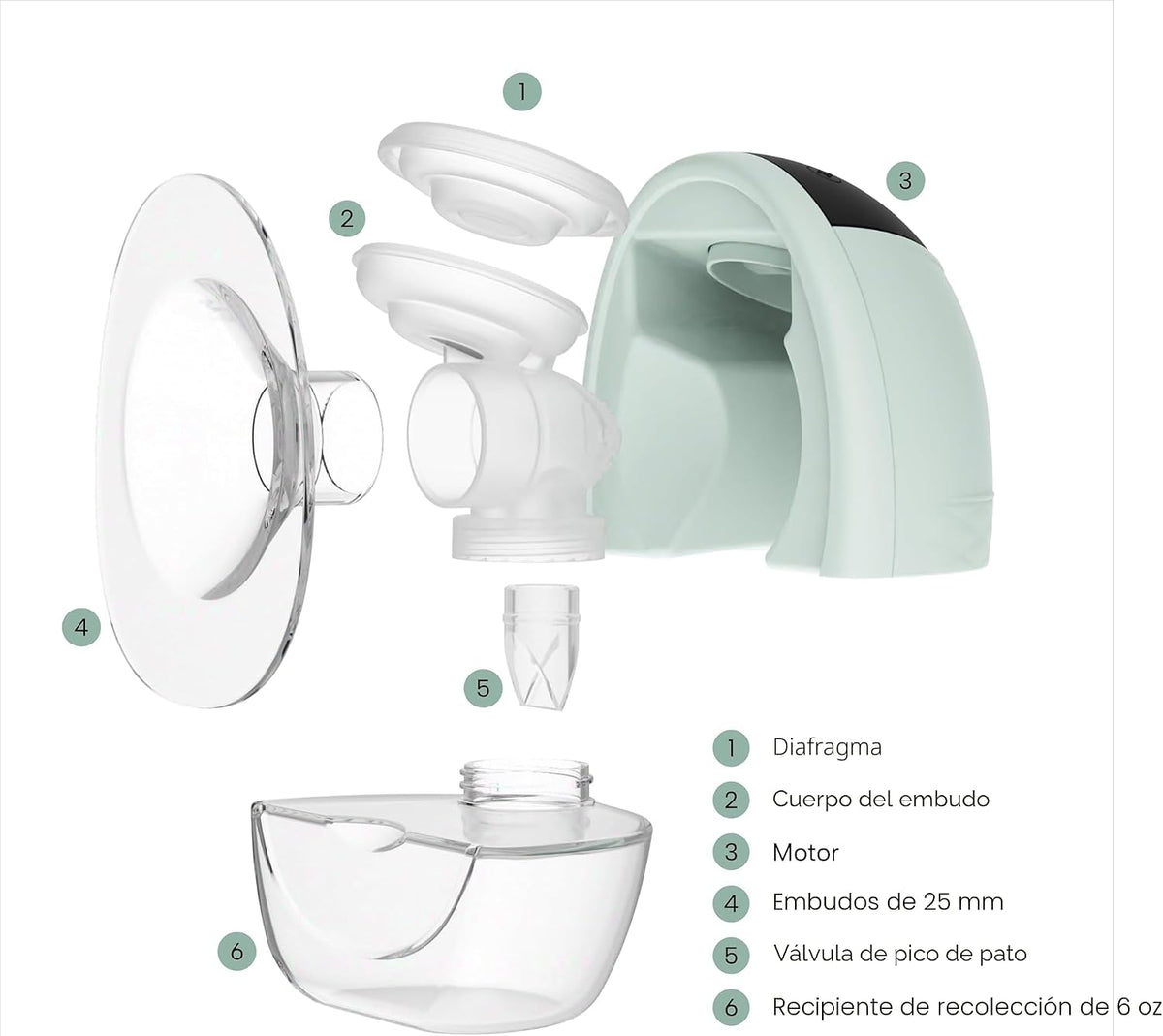 Zomee Fit Extractor de Leche Portátil, Bomba de Lactancia Manos Lib...