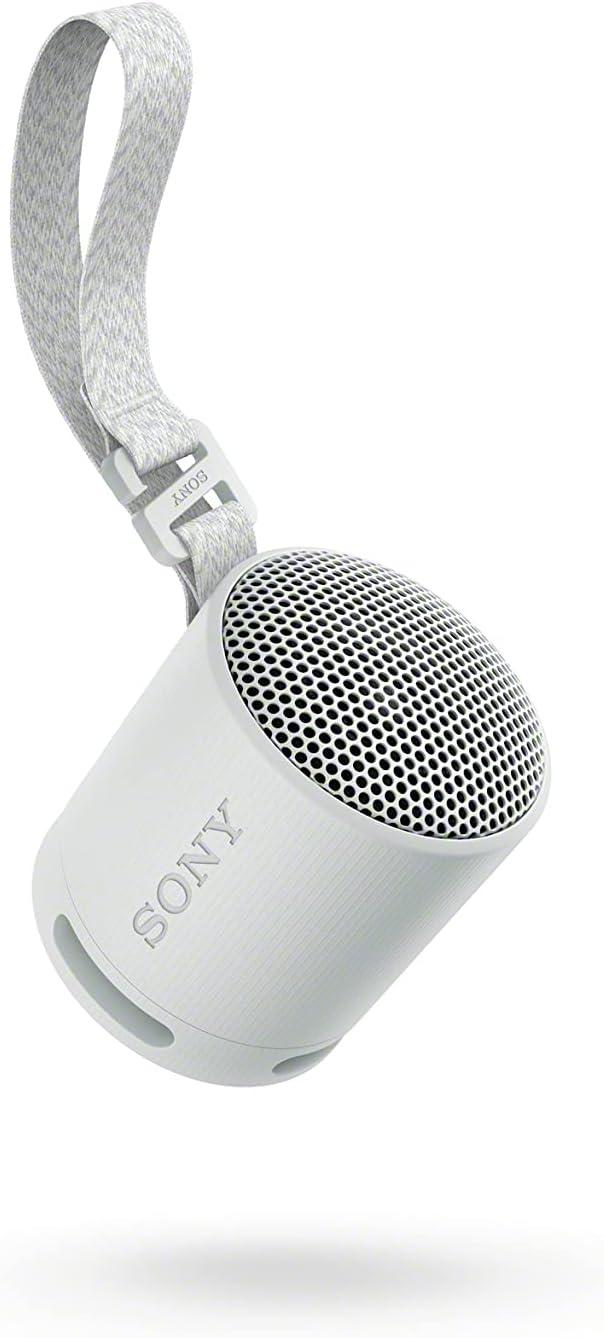 Sony SRS-XB100 Altavoz ligero portátil inalámbrico Bluetooth, gris...