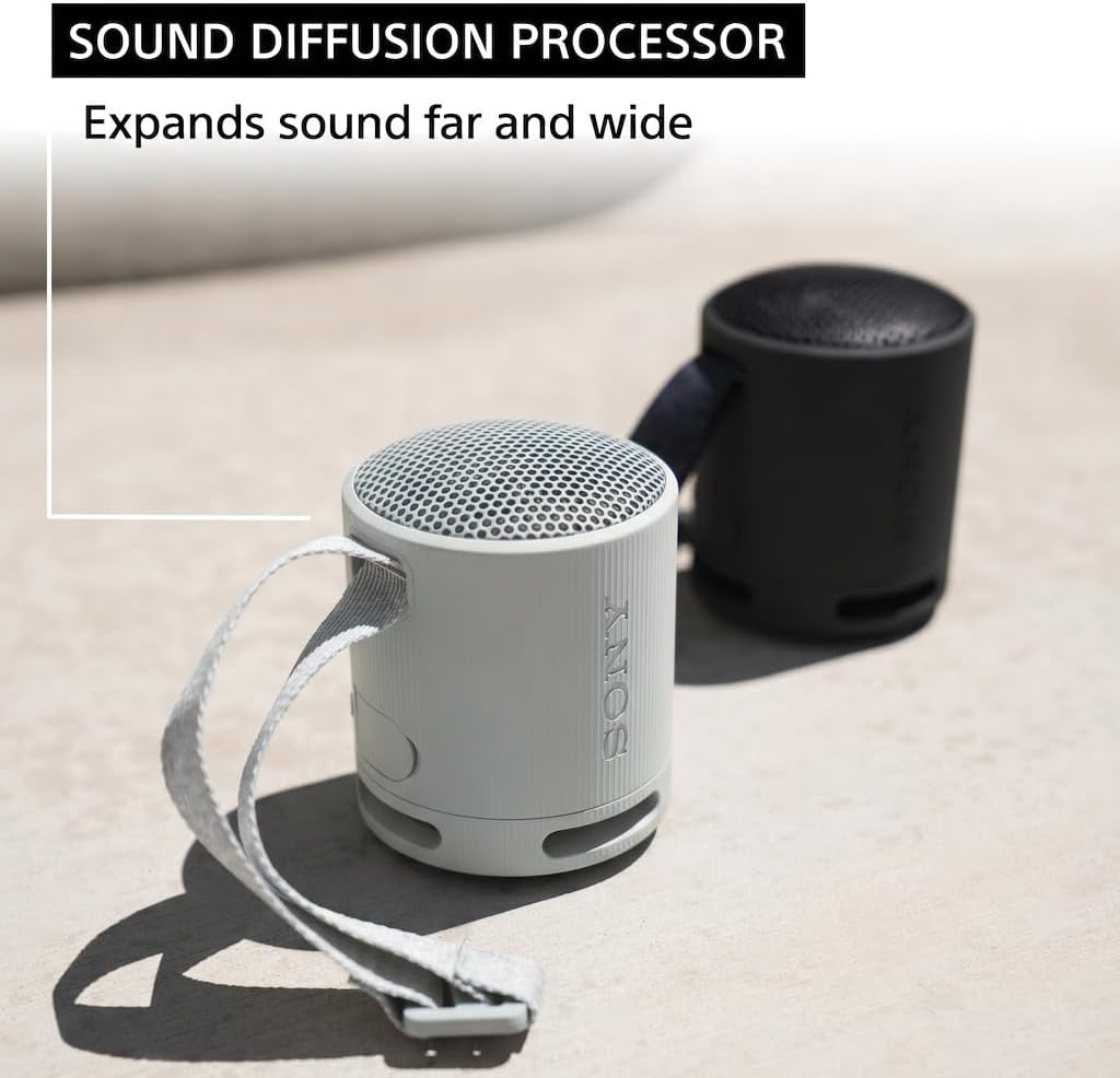 Sony SRS-XB100 Altavoz ligero portátil inalámbrico Bluetooth, gris...