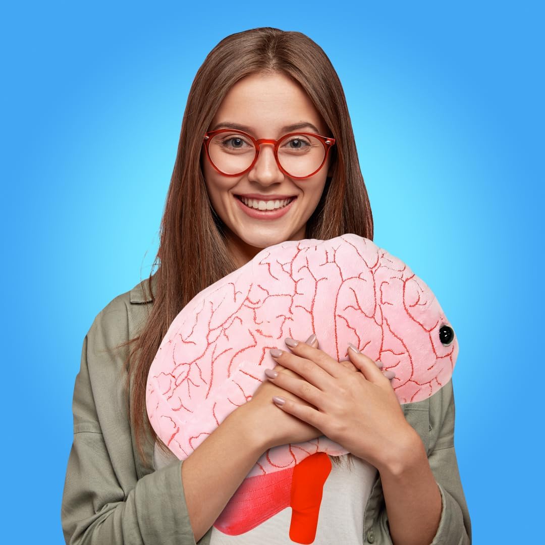 GIANT MICROBES Gigante peluche de órgano cerebral de 17 pulgadas, r...