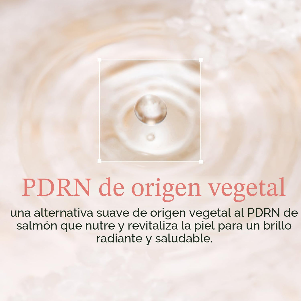PDRN Crema hidratante teñida con colágeno No.17Bare - Base infundid...