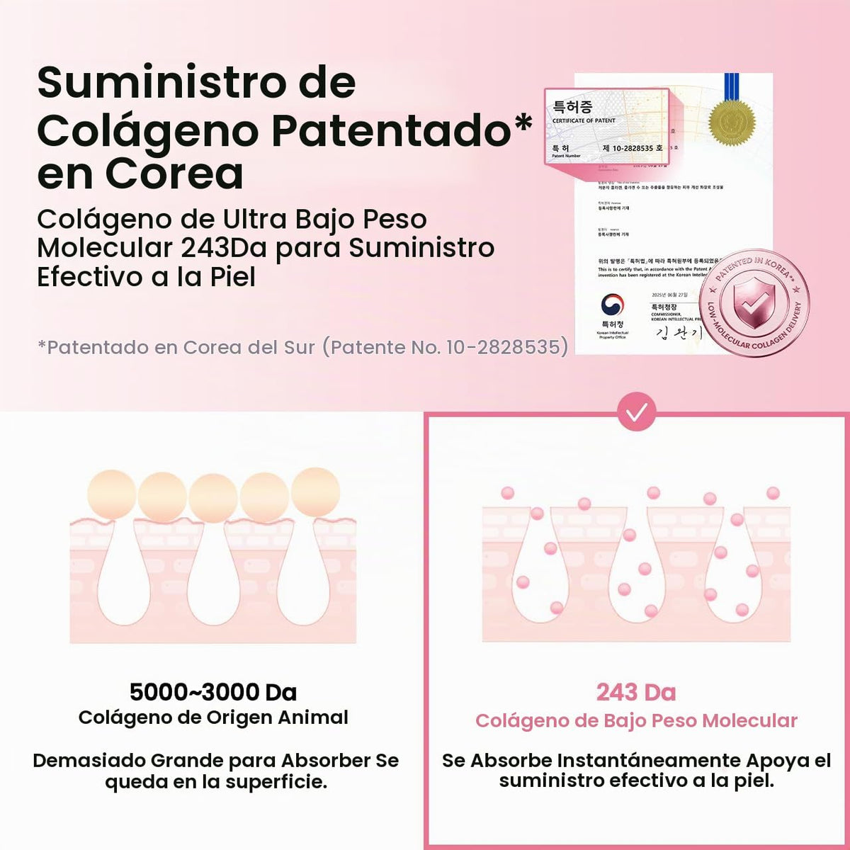 BIODANCE Suero facial de péptido de colágeno reafirmante para | Col...