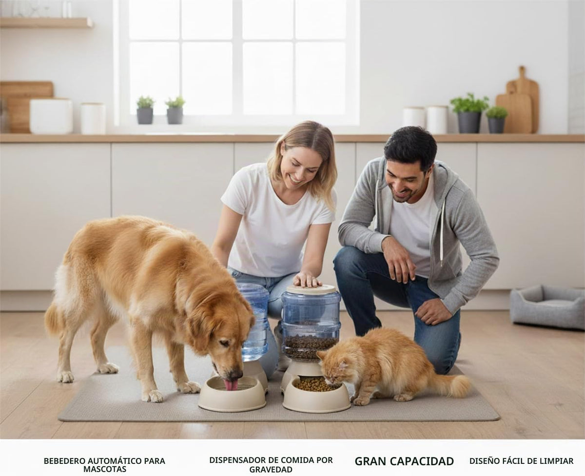 Ito Rocky Juego de alimentador automático para gatos y perros y dis...