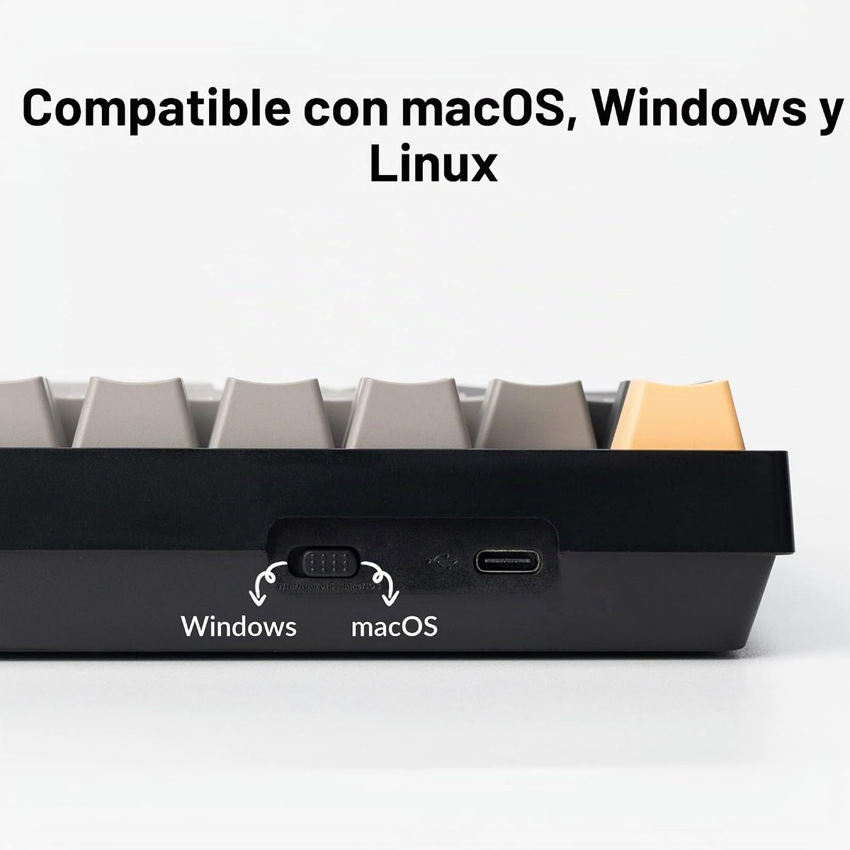 Keychron C2 Pro Teclado mecánico personalizado con cable Diseño de...