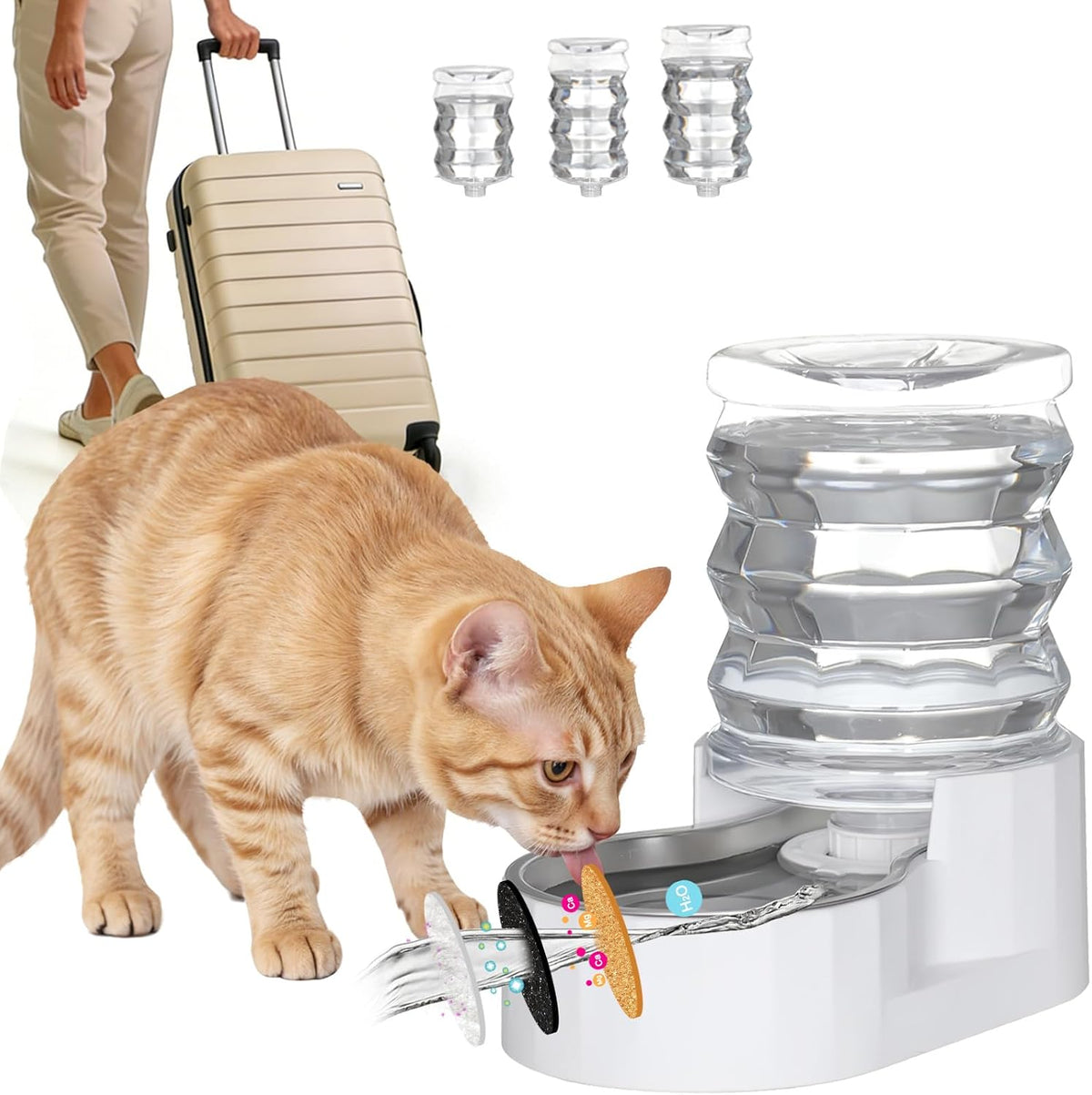 RIZZARI Dispensador de agua para gatos por gravedad de 5L: filtrado...