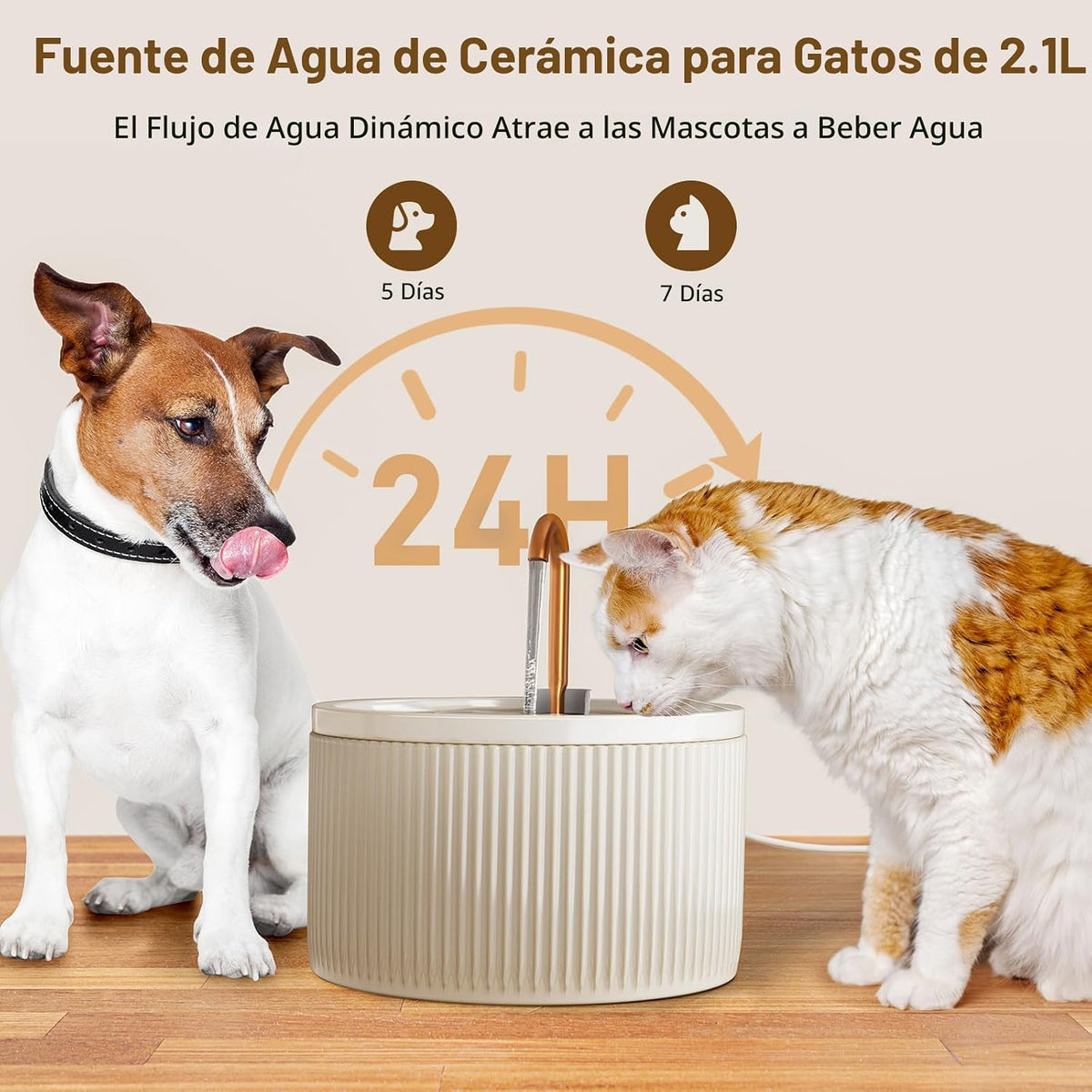 Fuente de agua de cerámica para gatos DOOOB, fuentes de cerámica pa...