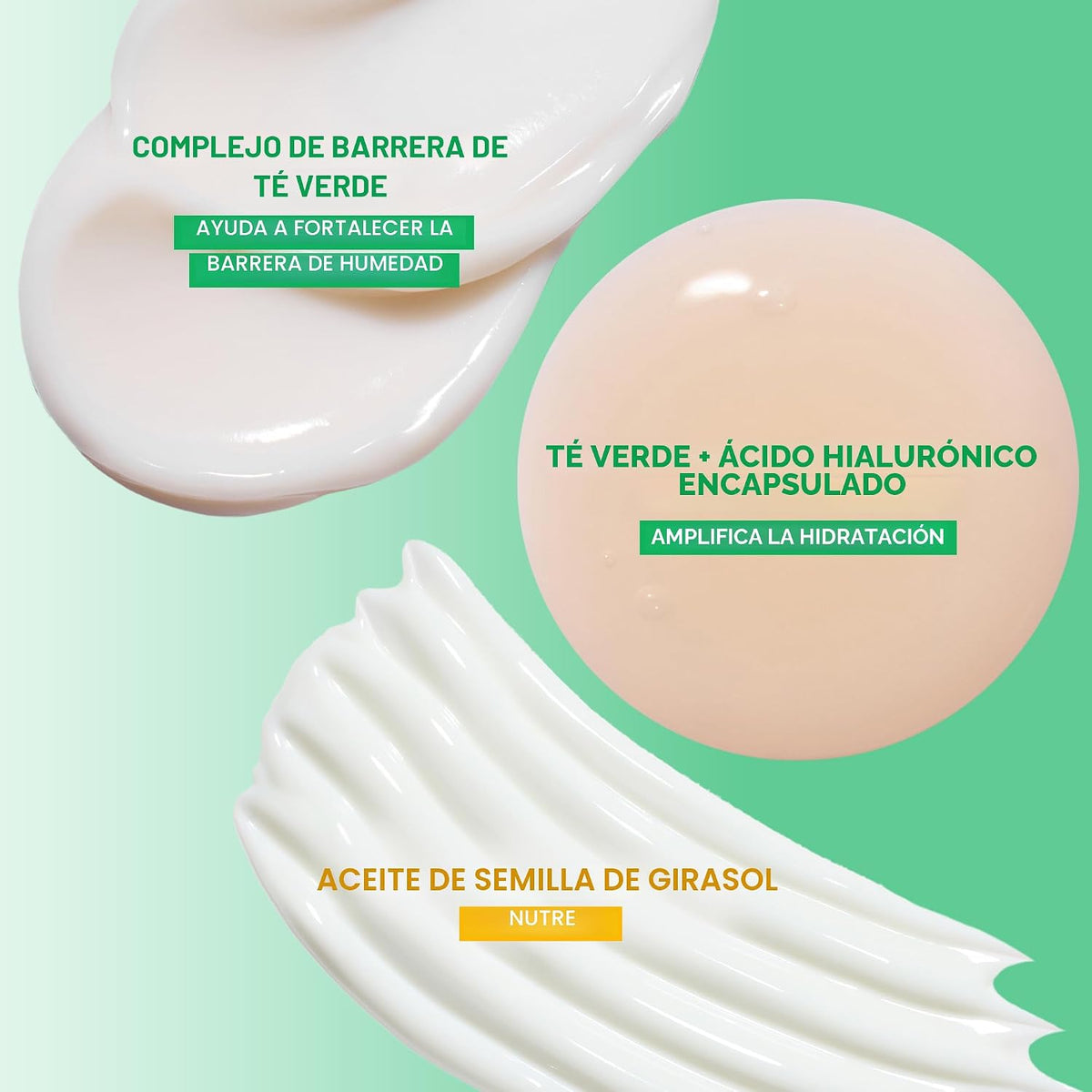 Innisfree Protector solar diario de defensa UV SPF 50+ PA++++ | Pro...