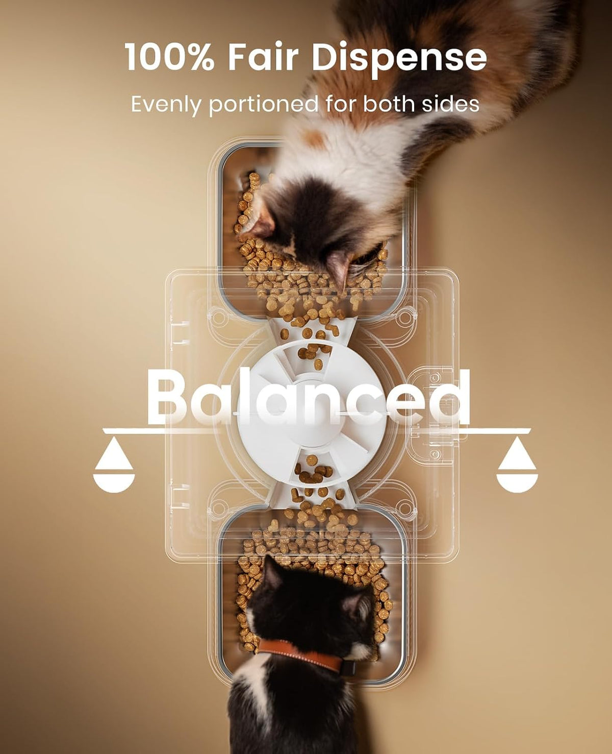 oneisall Comedero automático para gatos para 2 gatos, 20 tazas\/5 l...
