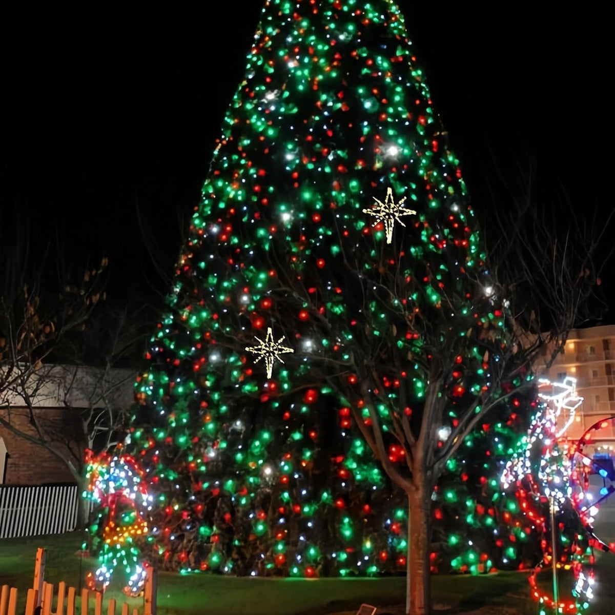 La secuencia de la Navidad del verde rojo extensible de los 75.8FT...