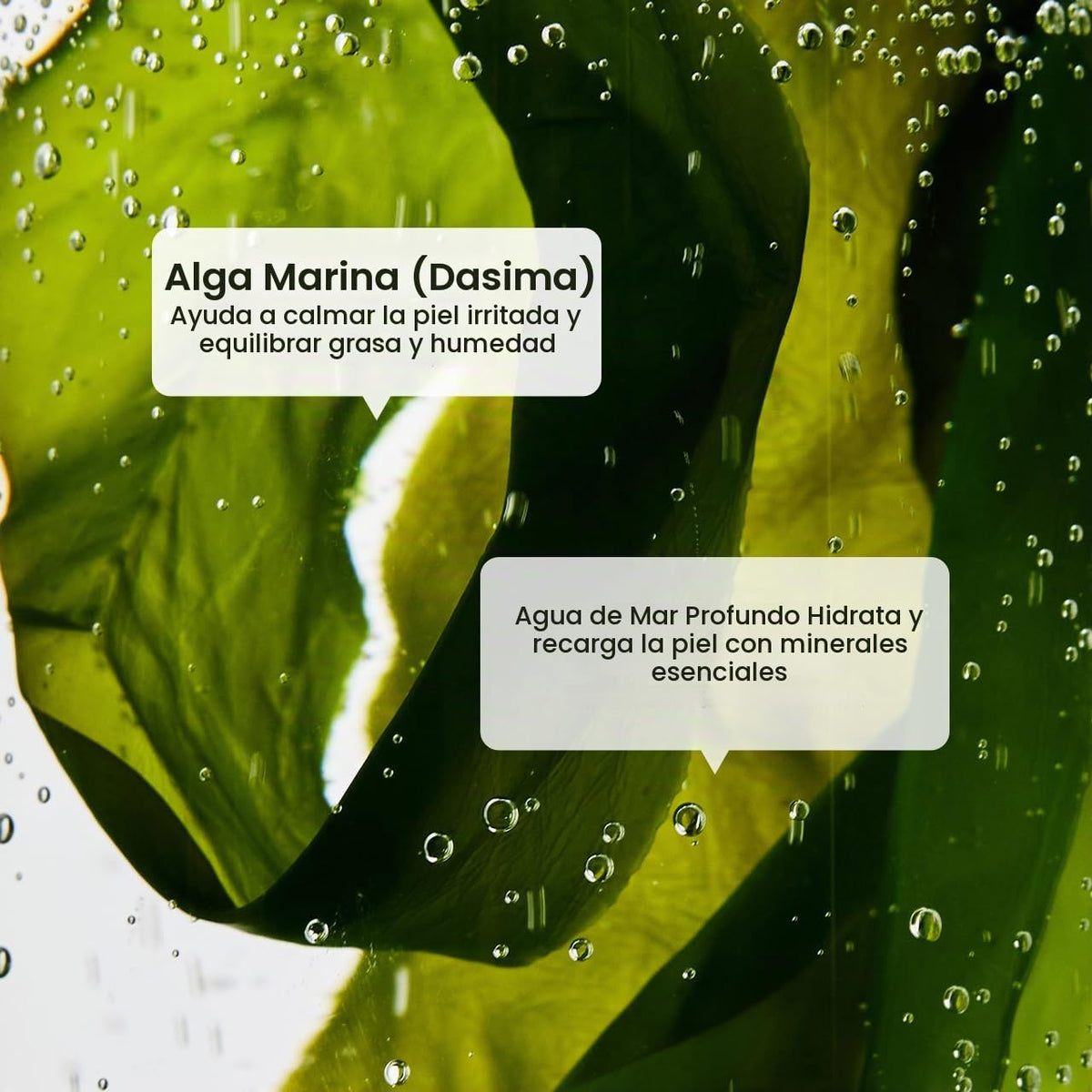 BIODANCE Suero refrescante de algas marinas, control de aceite y se...