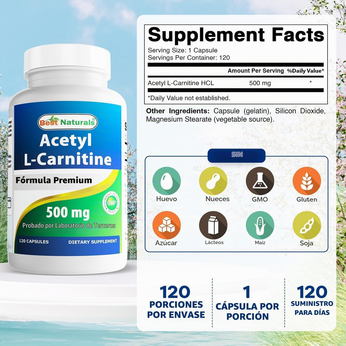 Best Naturals Acetil L-carnitina (ALCAR) 500 mg, 120 cápsulas, 120...