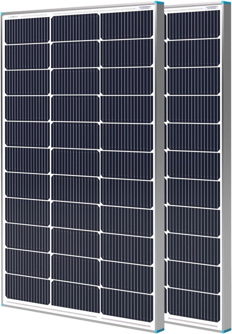 Renogy 2 paneles solares de 100 vatios y 12 voltios, módulo fotovol...