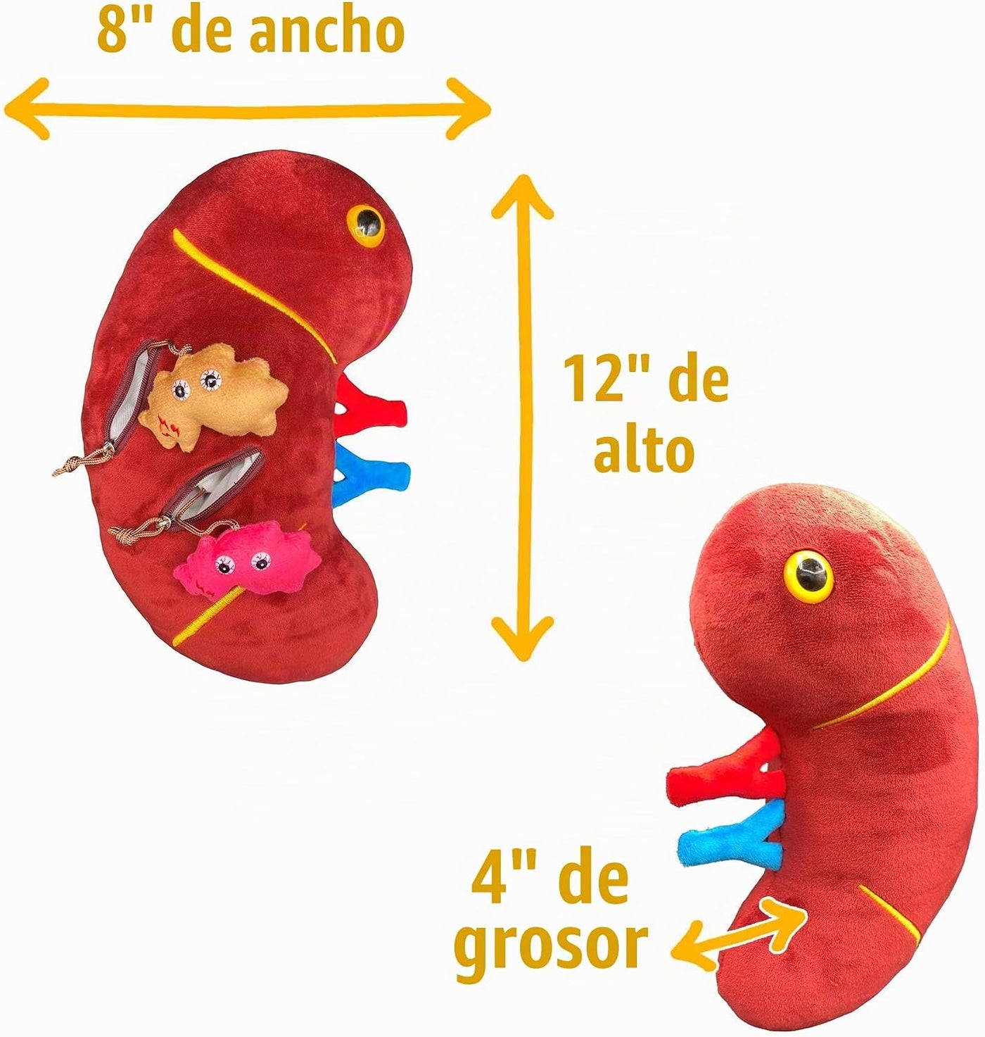 GIANT MICROBES Peluche de riñón de lujo de 12 pulgadas, incluye pel...