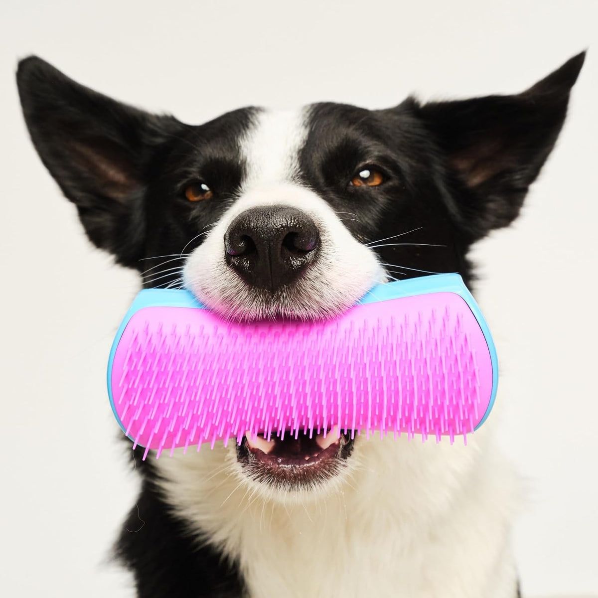 Pet Teezer Cepillo de perro que elimina el desprendimiento para raz...