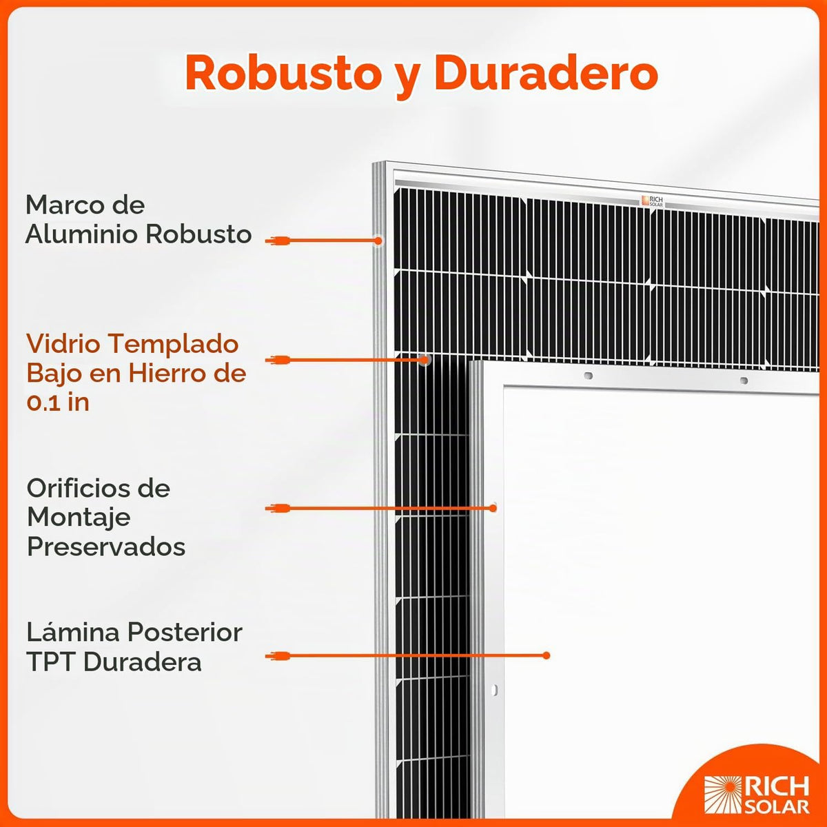 RICH SOLAR MEGA panel solar de 250 vatios, 12V tipo N 25,1% de alta...