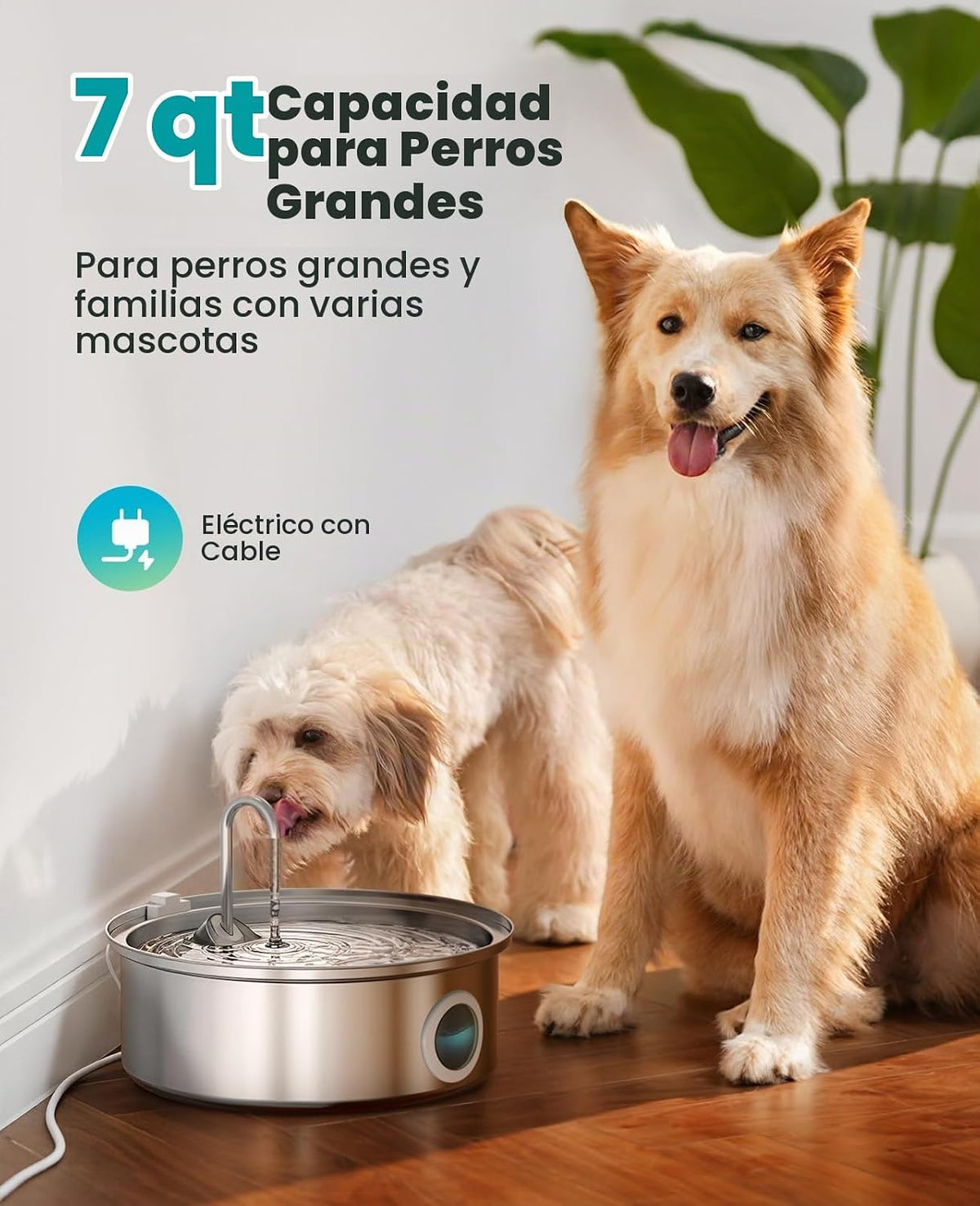Fuente de agua para perros Oneisall PWF002 con 1 filtro | Acero ino...