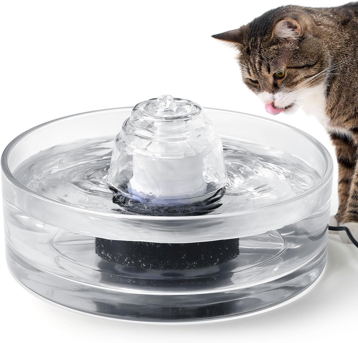 Fuente de vidrio para mascotas de 2,7 litros - Fuente de agua de vi...