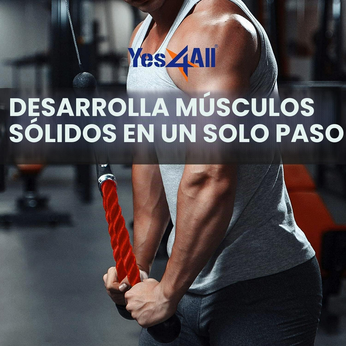 Yes4All Accesorio de cable de cuerda de tríceps de lujo, 27 y 36 pu...