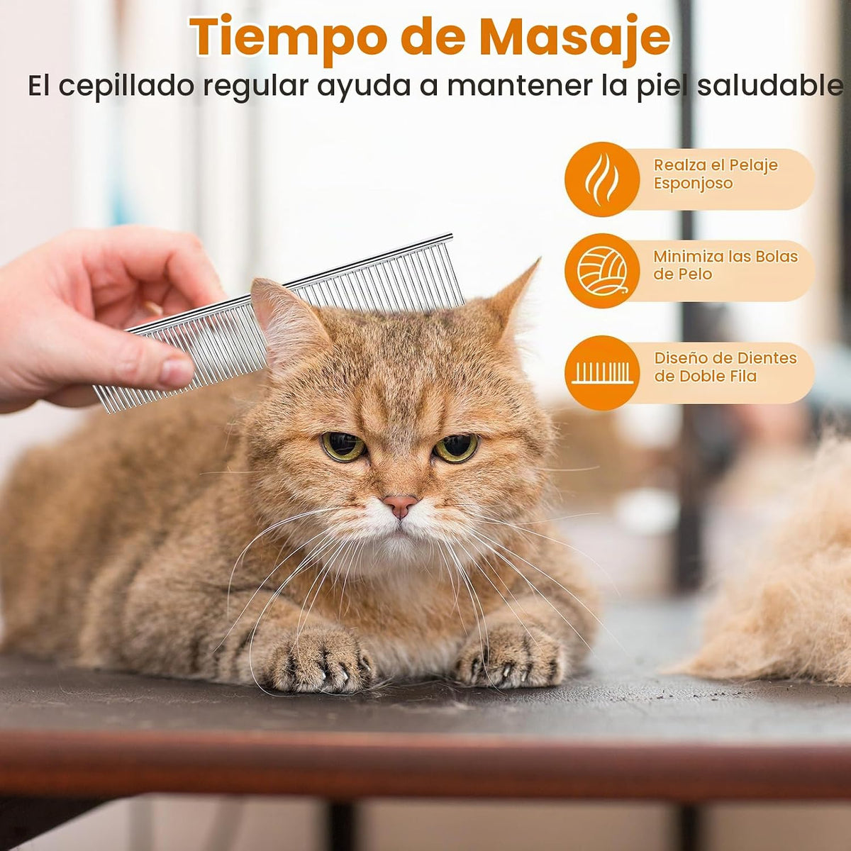 PETTOM 2 peines de acero inoxidable para perros, peine de dientes r...