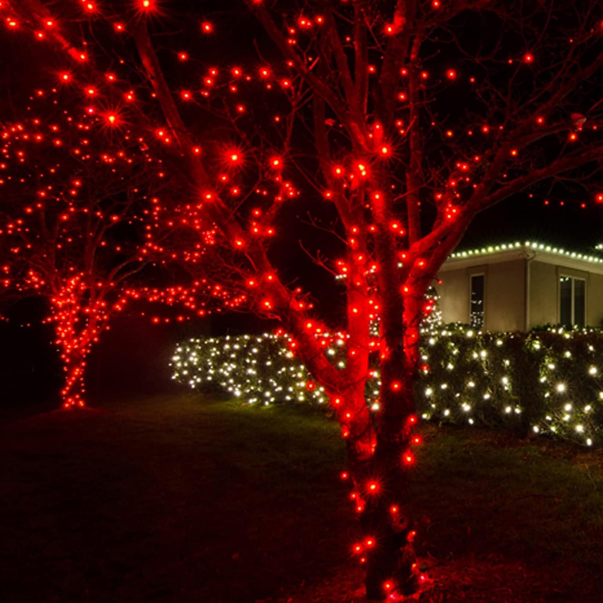 Dazzle Bright - Guirnalda de 300 luces LED para Navidad de 100 pies...