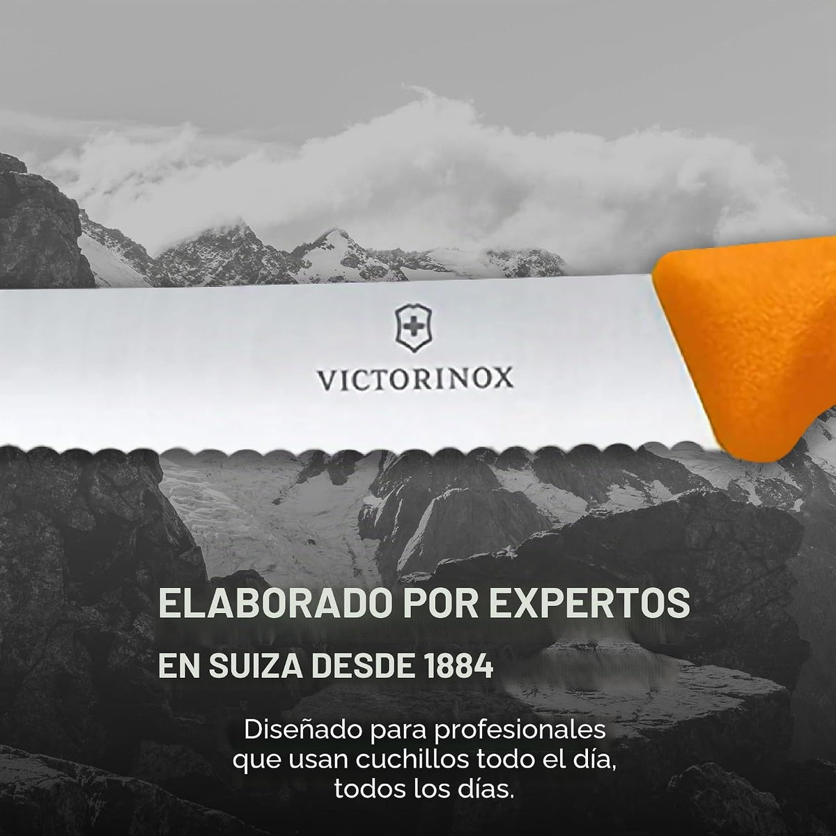 Victorinox Swiss Classic - Juego de cuchillos de mesa y tomate de 6...