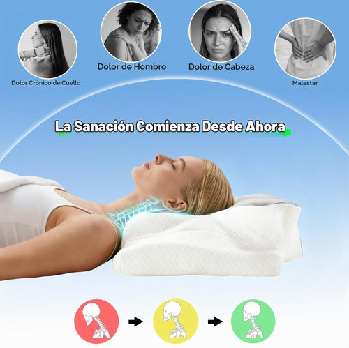 Almohada cervical Ergo para la apnea del sueño, los ronquidos y el...