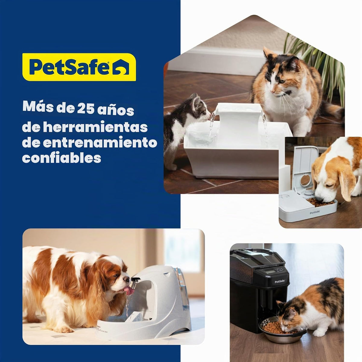 Estación de comida PetSafe para perros y gatos con tazón de acero i...