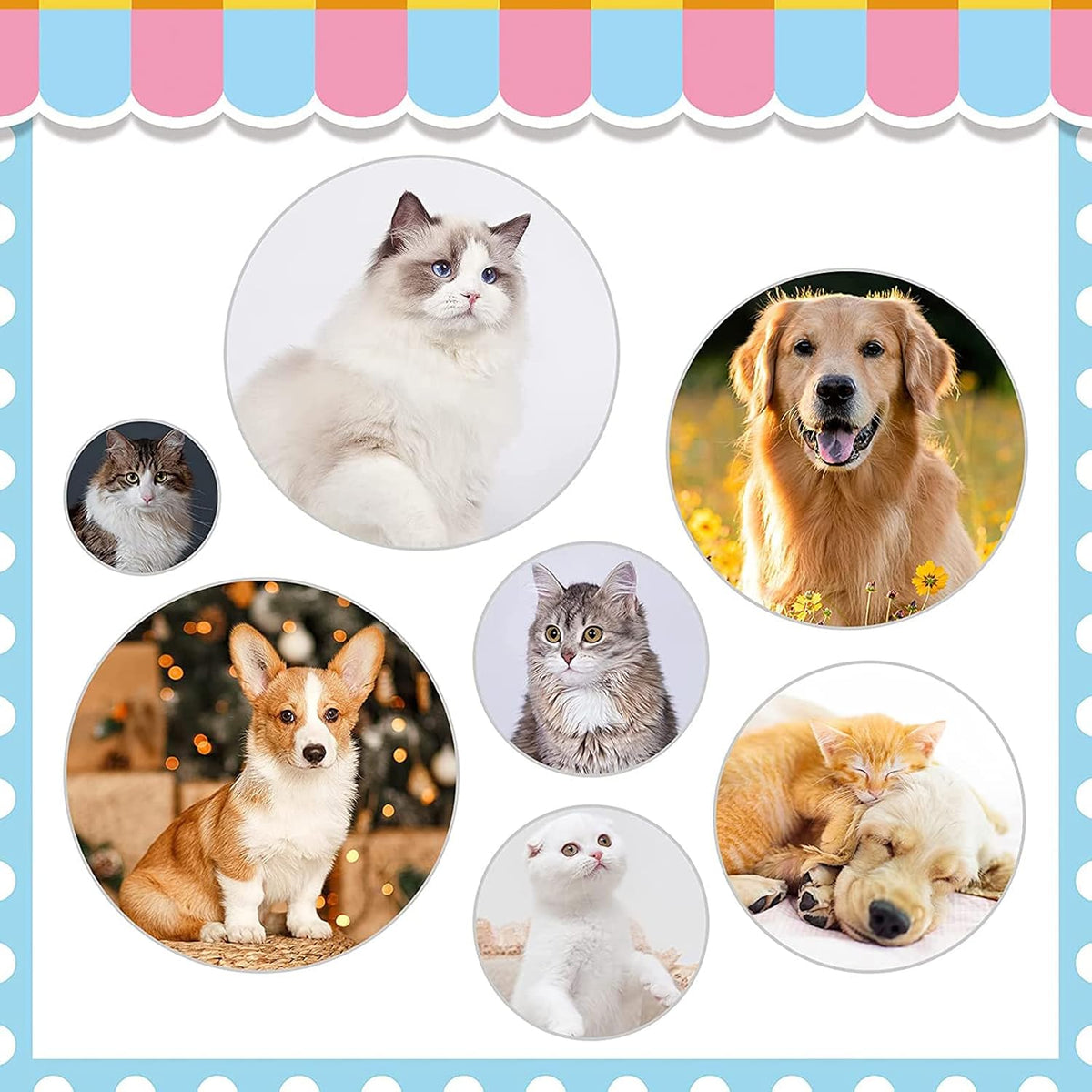 Cepillos para gatos de interior, cepillo de perro para quitar con p...