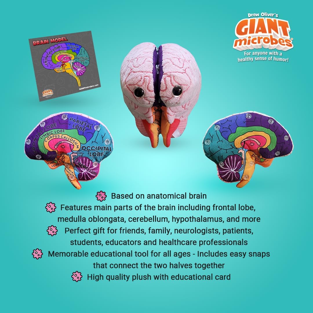 GIANTmicrobes Brain Model Anatomy Plush con detalles bordados | Her...