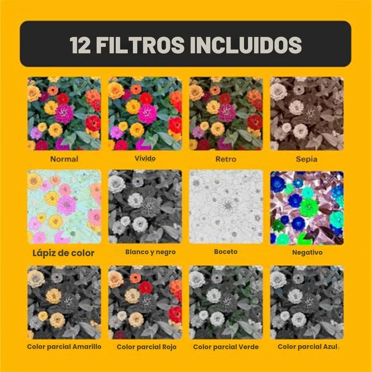 Kodak PIXPRO - Paquete de cámara digital compacta C1 (marrón) con t...