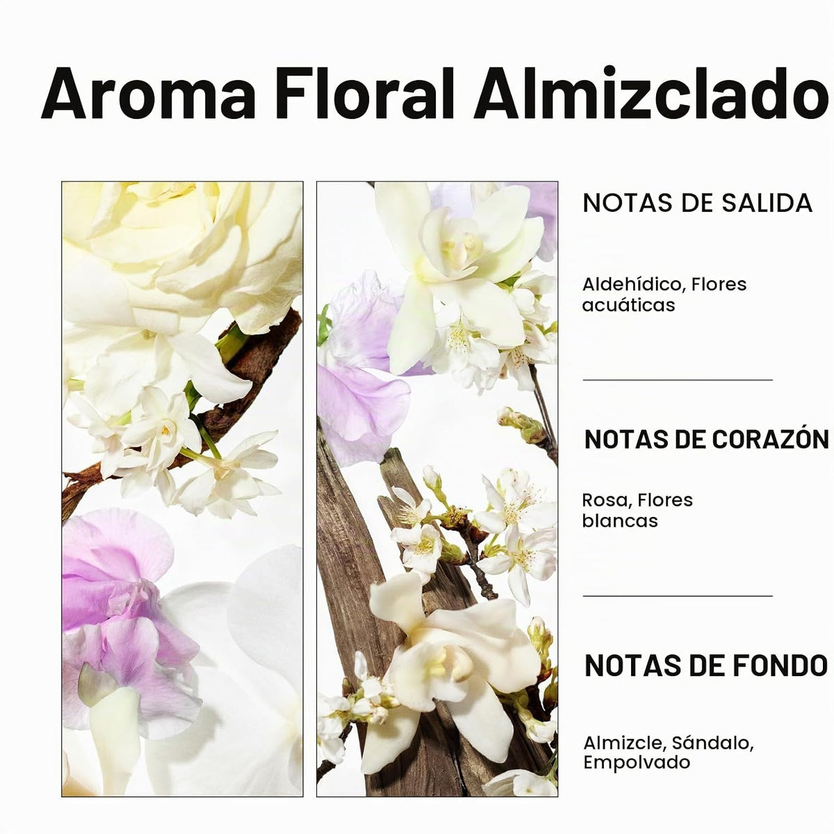Mise En Scene Champú Perfume para el cabello, champú de suero de pe...