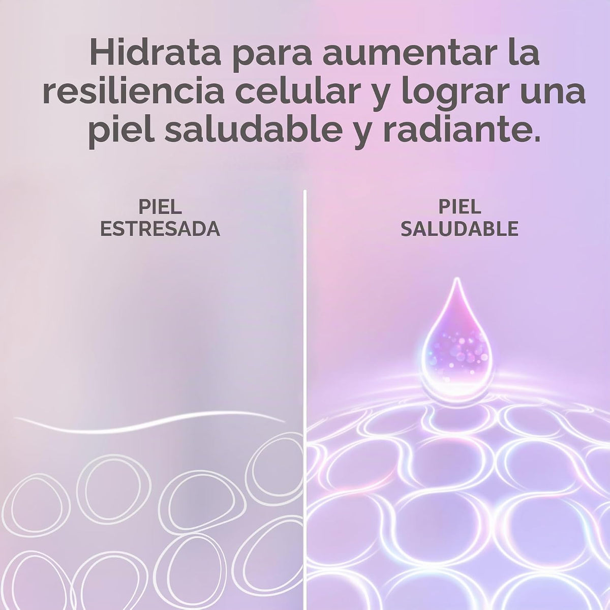 Olay Super Serum Night Repair, sin fragancia, niacinamida, péptido,...