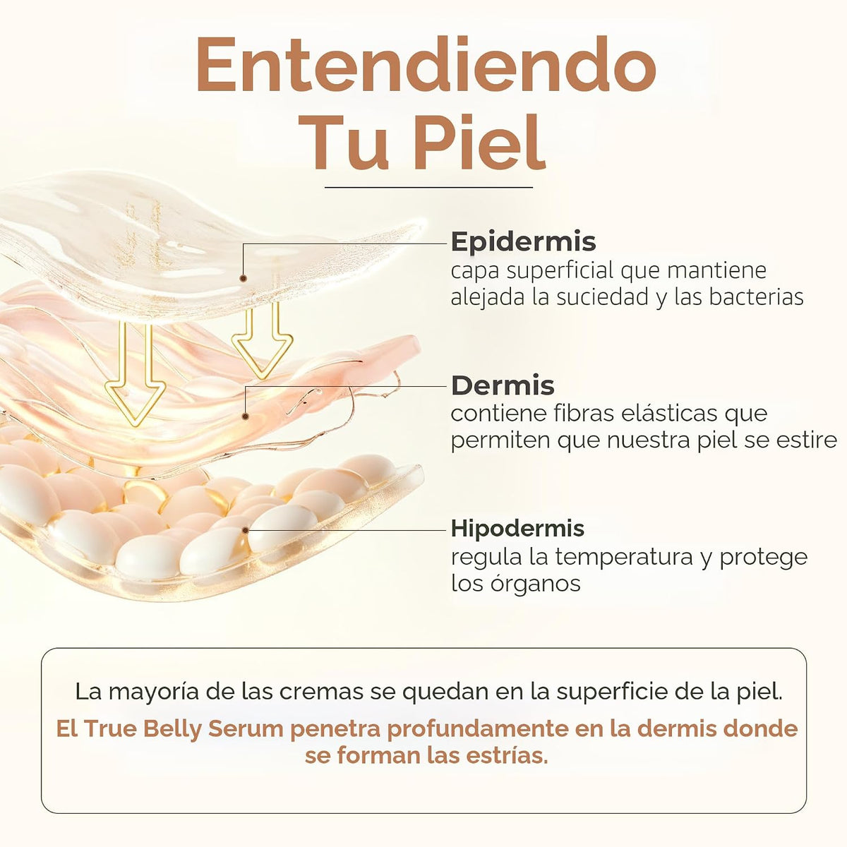 8 Sheep True Belly Serum, aceite para el vientre seguro para el emb...