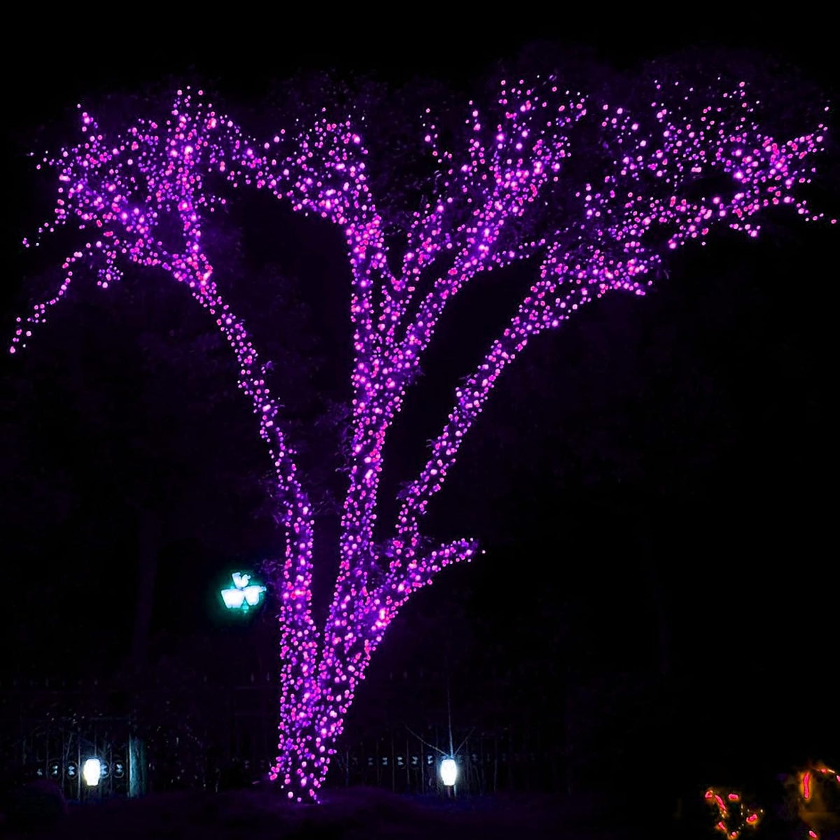 Dazzle Bright - Guirnalda de luces para Halloween, 300 LED, 100 pie...