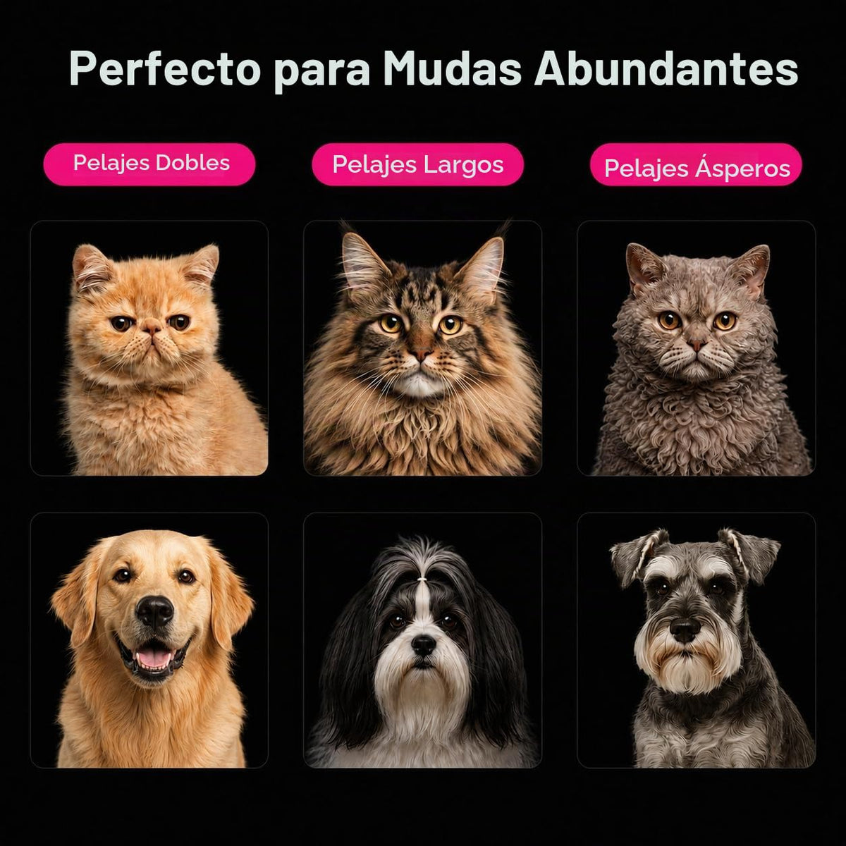aumuca Cepillo para quitar pelos para perros y gatos, cepillo de as...