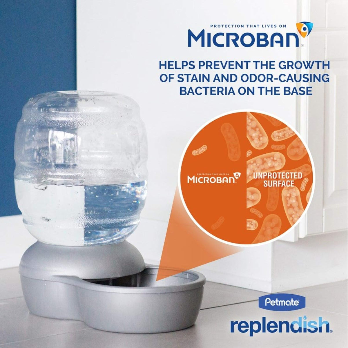 Bebedero Petmate Mason Replendish | Dispensador de agua sin BPA par...