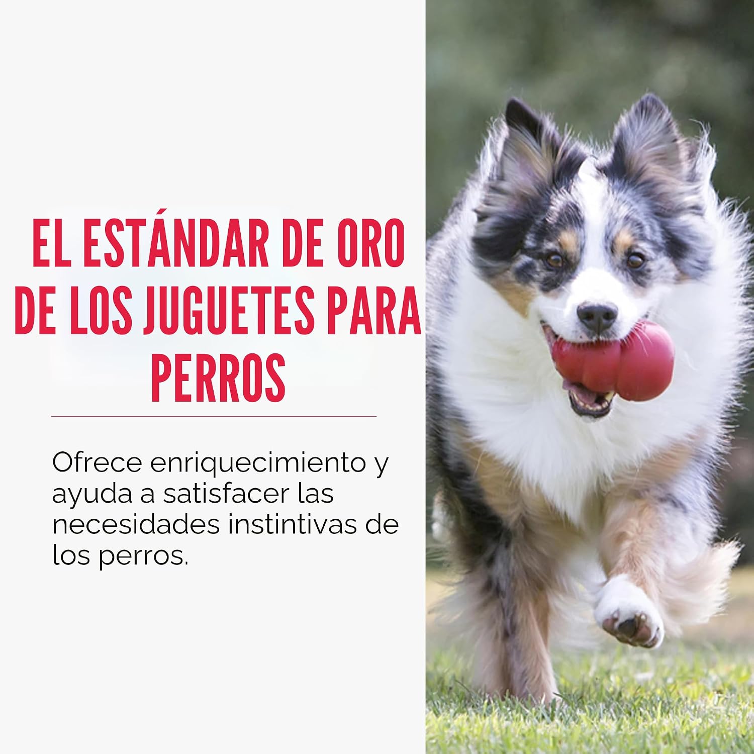 Juguete de perro rellenable clásico KONG - Juguete para morder y bu...