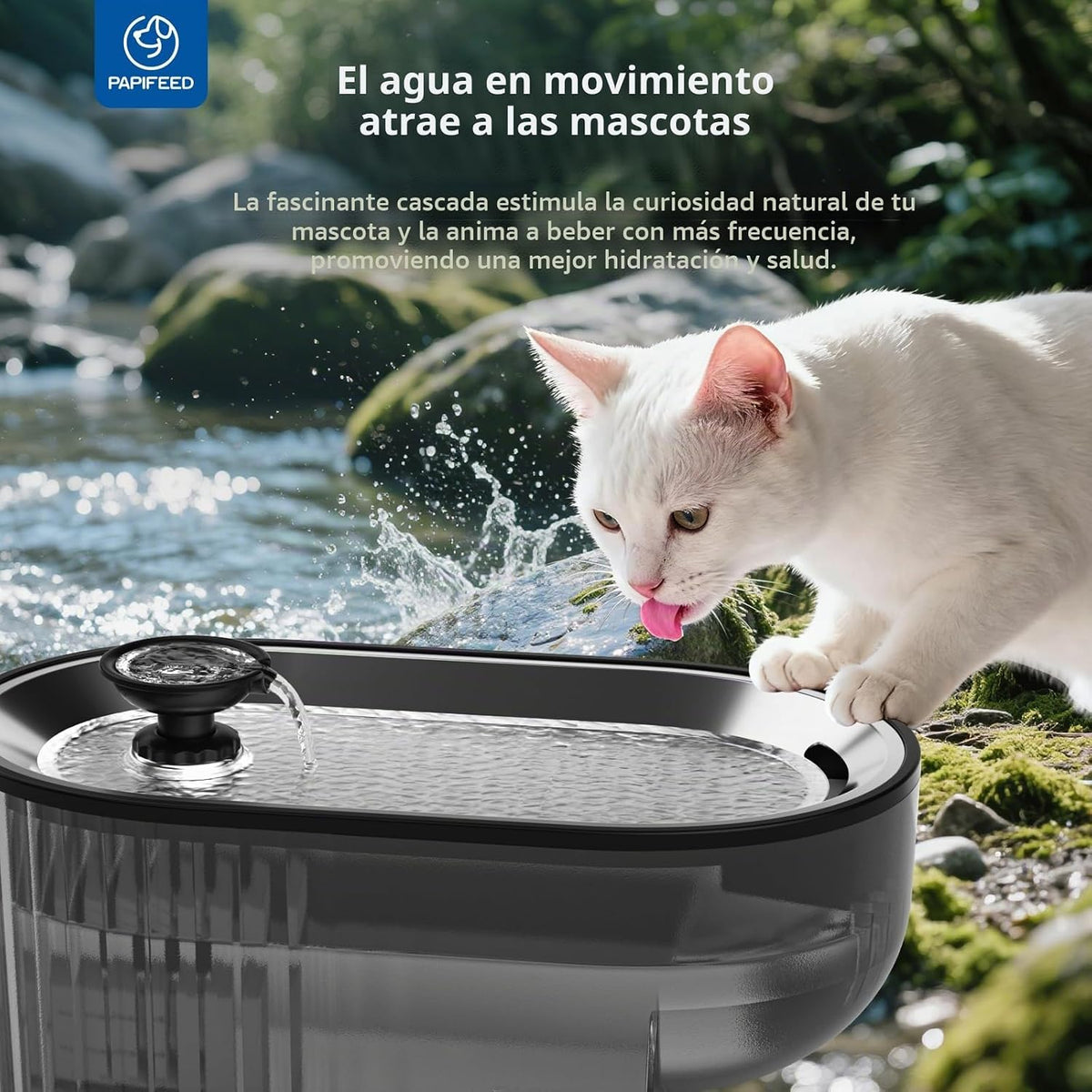 PAPIFEED Fuente de Agua para Gatos + Bandeja de Acero Inoxidable +...