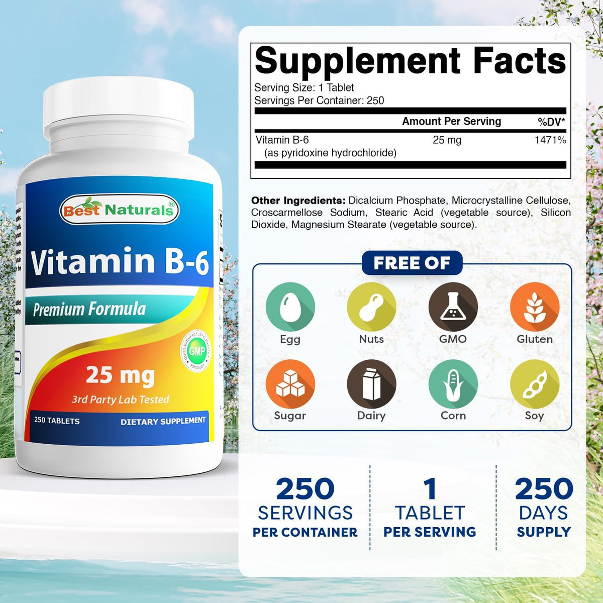 Best Naturals Vitamina B-6 25 mg comprimidos, 250 unidades (paquete...