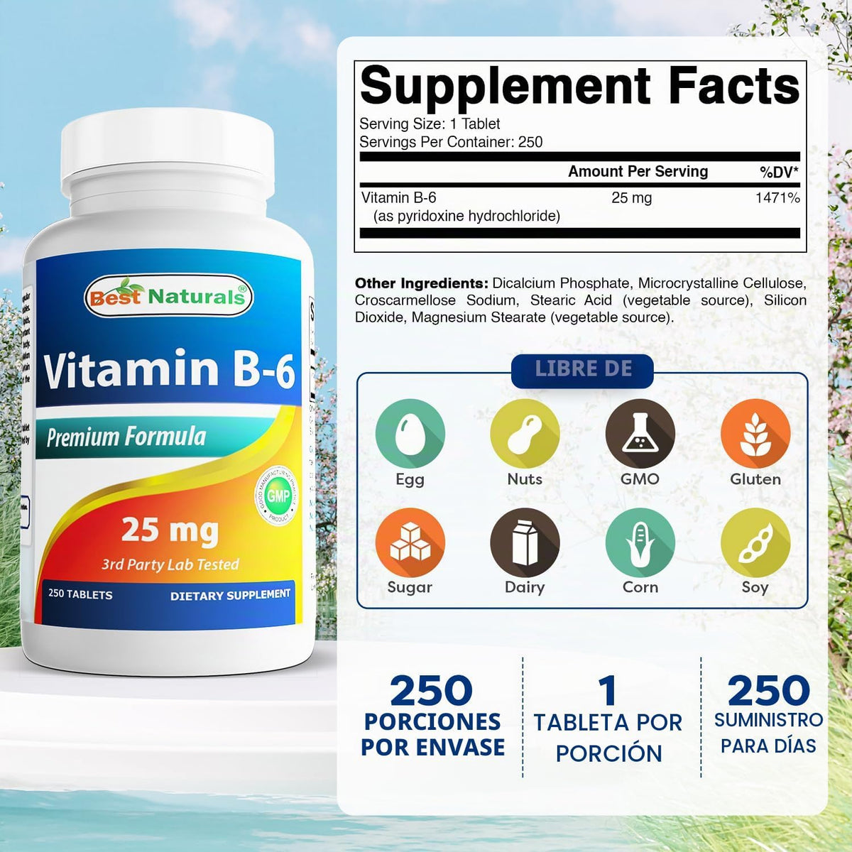 Best Naturals Vitamina B-6 Tabletas de 25 Mg, 250 unidades