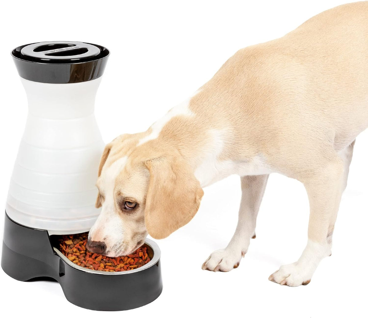 Estación de comida PetSafe para perros y gatos con tazón de acero i...