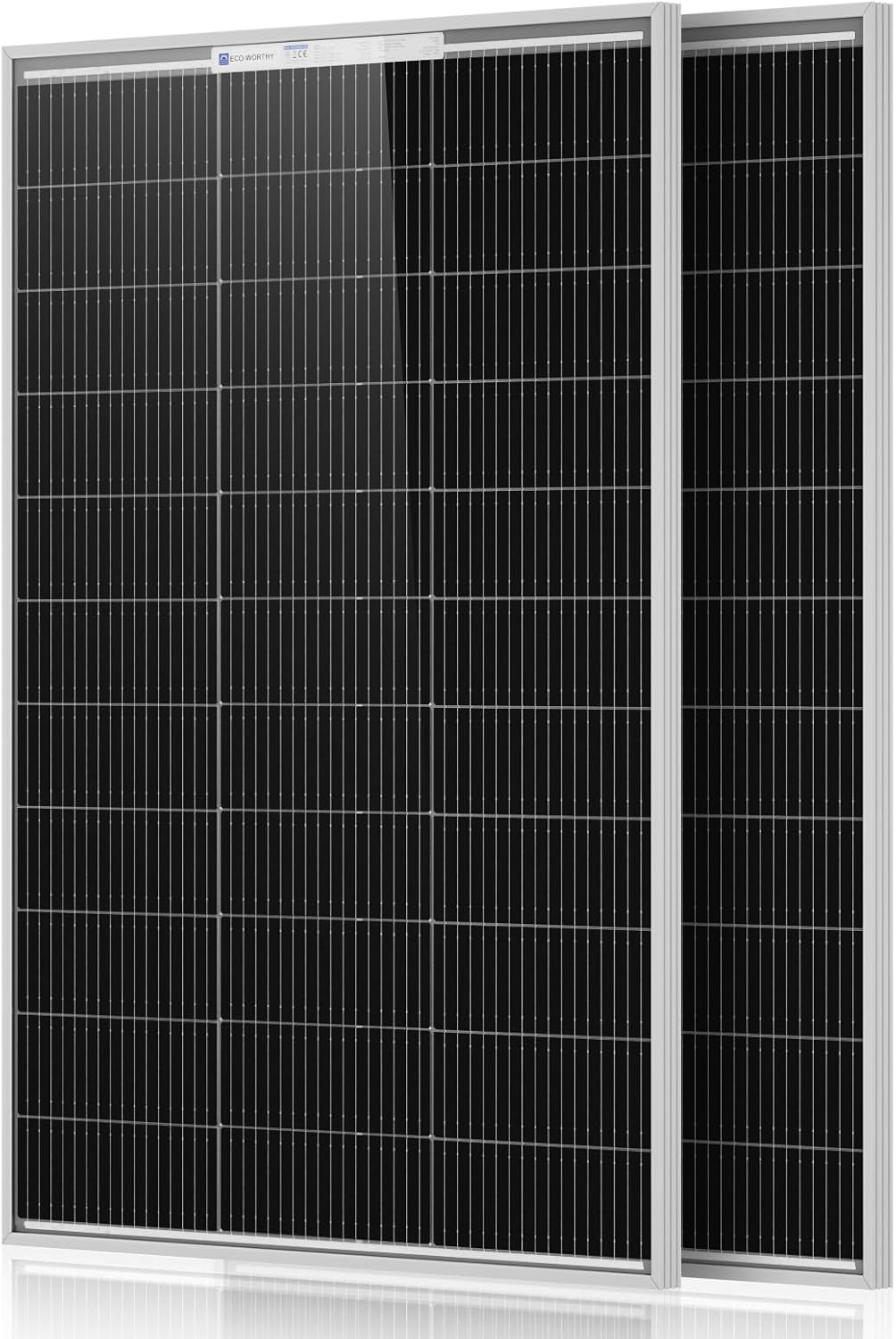 ECO-WORTHY - 2 paneles solares de 100 W, panel solar monocristalino...