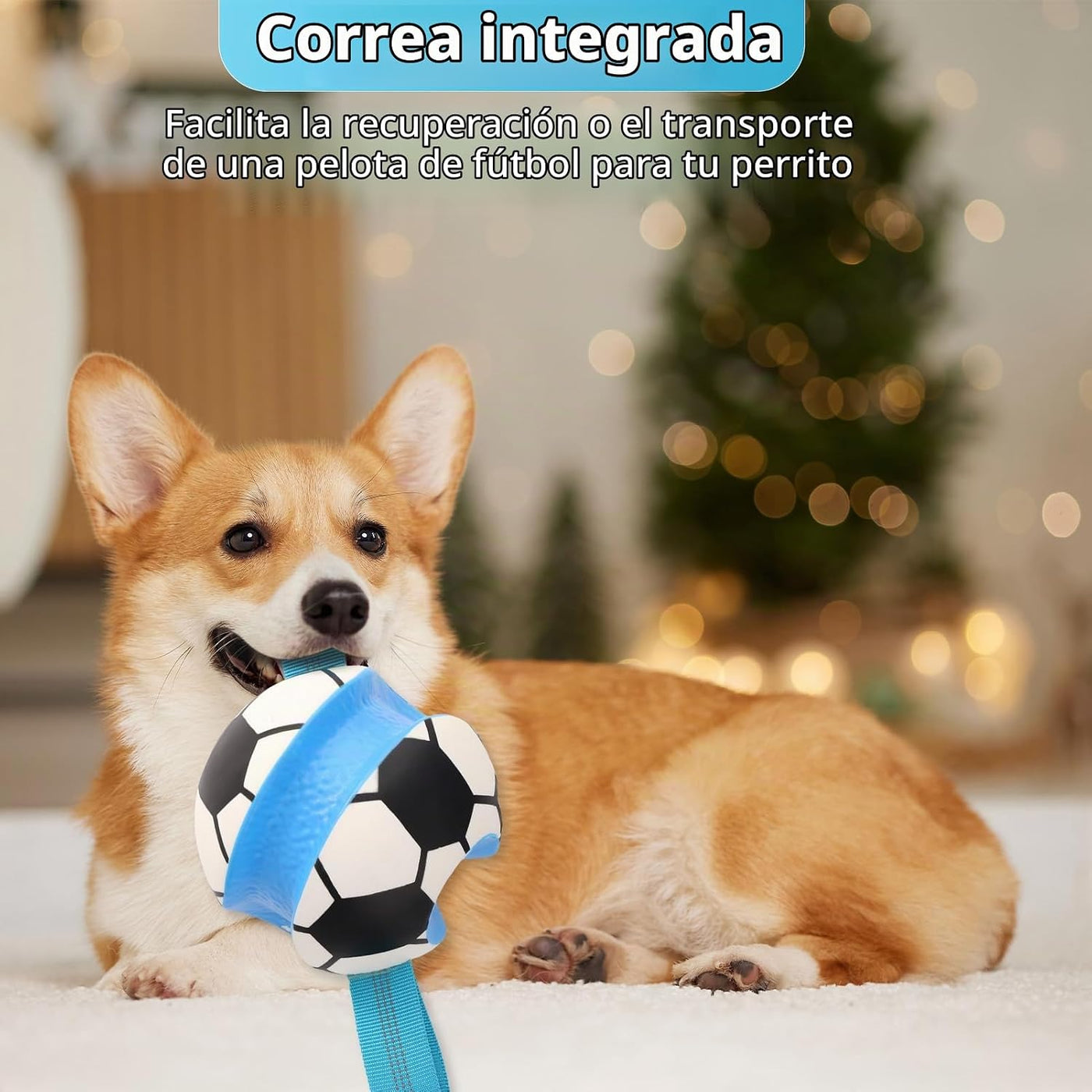 Eneston Pelotas de juguetes para perros, pelota de fútbol interacti...