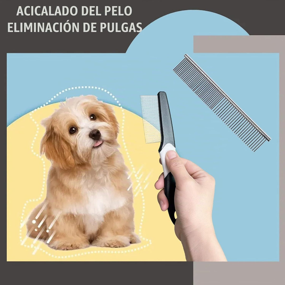Juego de 5 piezas de aseo para perro, cachorro, cepillo para deshed...