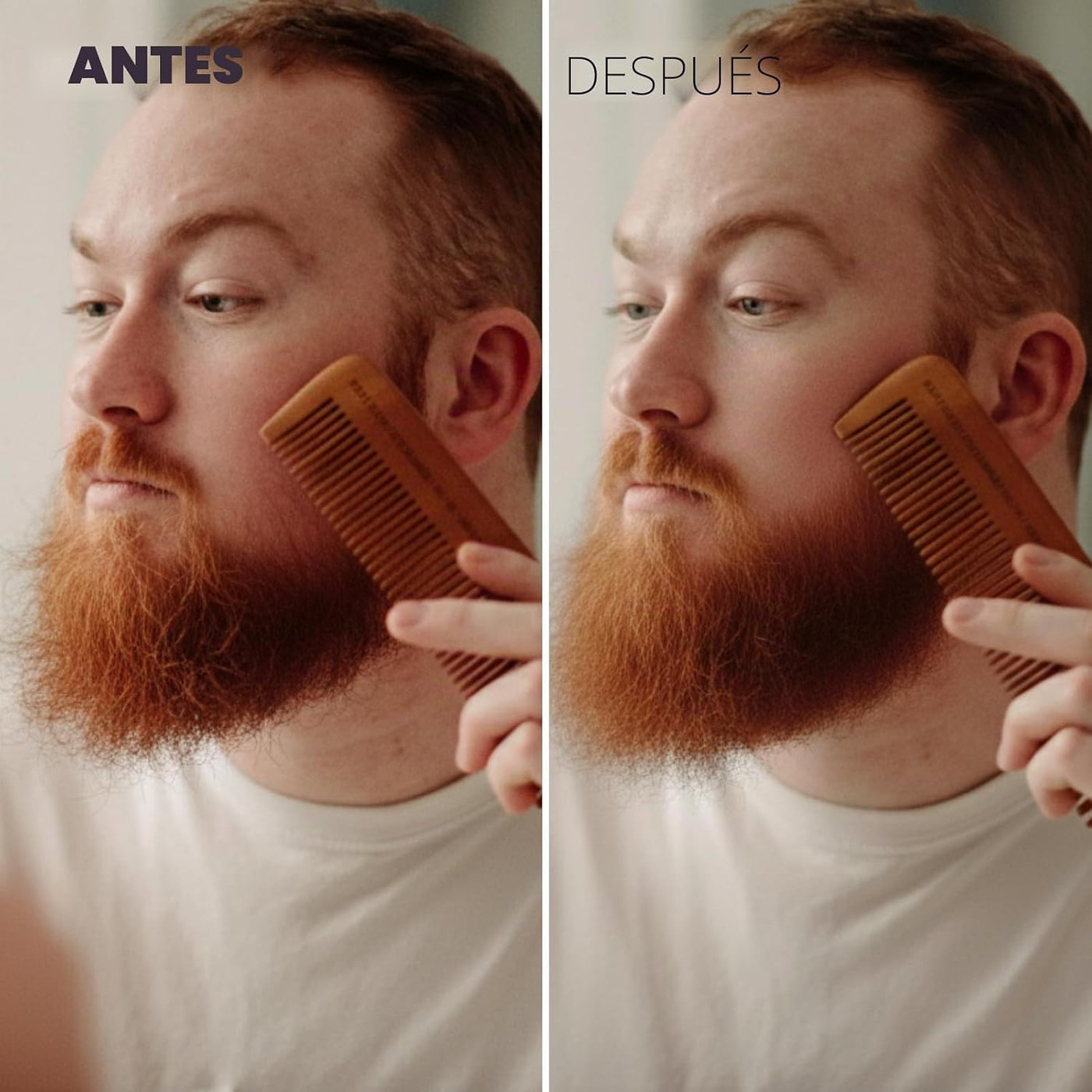 Kit de cuidado para afeitadora de láminas Supreme Trimmer T-Shaper...