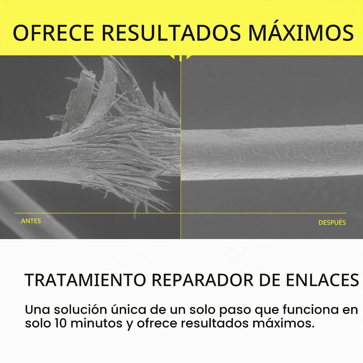 epres Bond - Recambio de tratamiento de reparación para cabello más...