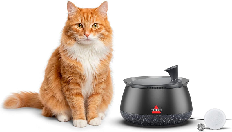 BISSELL HydrateWell - Fuente de agua para gatos, 91 onzas, 4408 | B...